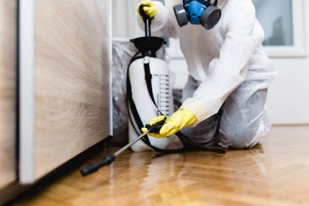 Best Pest Removal Services  in Monee, IL