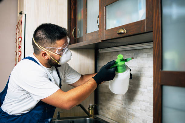 Insect Control in Monee, IL