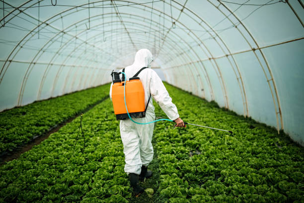 Best Insect Control  in Monee, IL