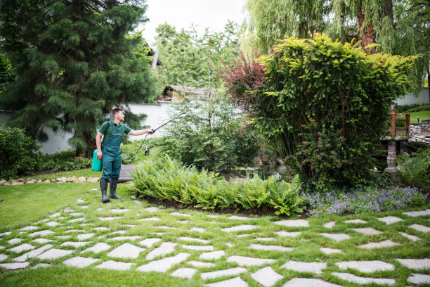 Best Pest Control Near Me in Monee, IL