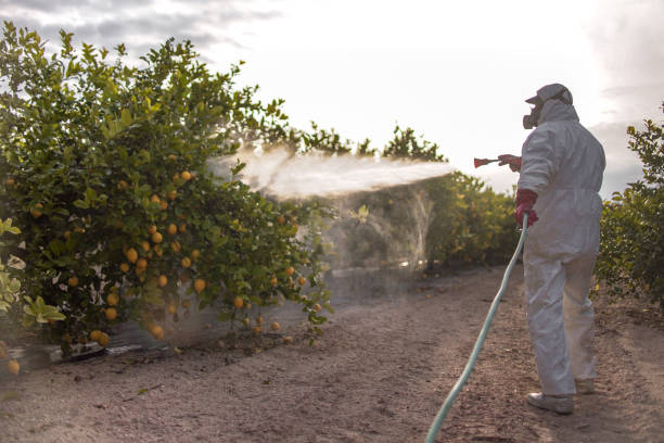 Best Pest Inspection Near Me  in Monee, IL