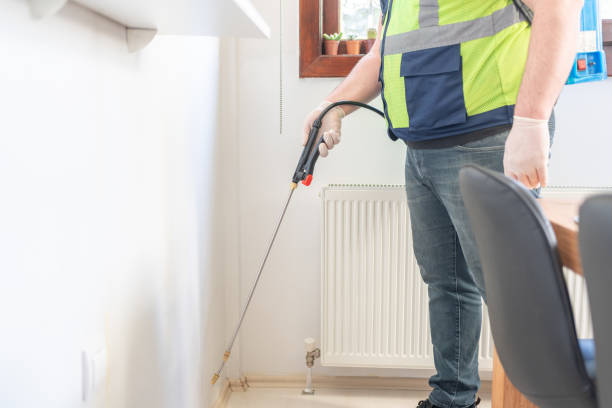 Best Affordable Pest Control Services  in Monee, IL