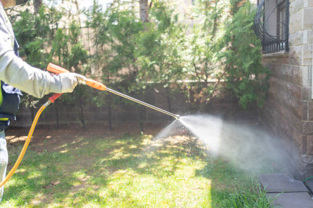 Best Termite Control Services  in Monee, IL