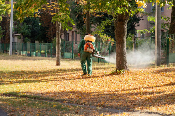 Best Wasp Removal Services  in Monee, IL