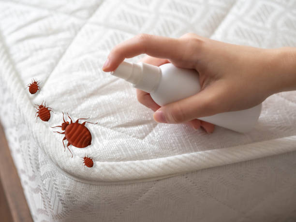 Trusted Monee, IL Pest Control Experts