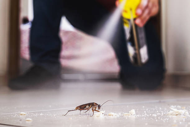 Best Pest Prevention Services  in Monee, IL