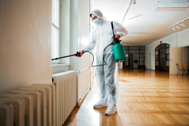 Best Insect Control  in Monee, IL