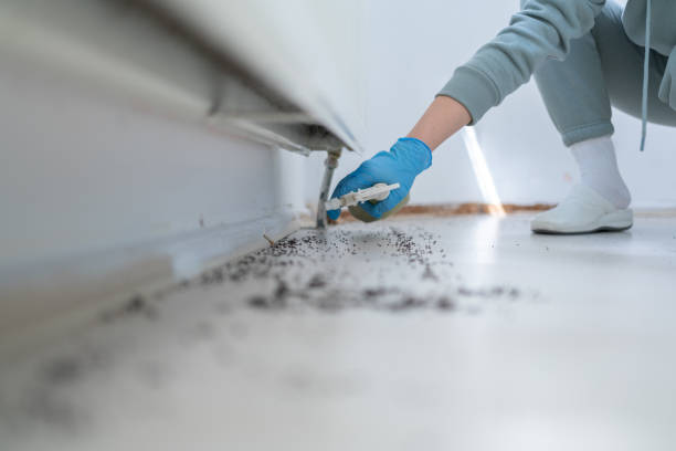 Best Cockroach Control Services  in Monee, IL