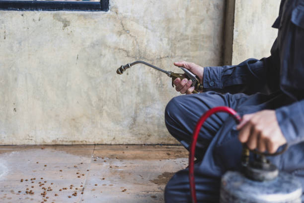 Best Best Pest Control Companies  in Monee, IL