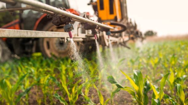 Best Best Pest Control Companies  in Monee, IL